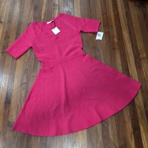 NWT Trina Turk Fushia Pink Ribbed Fit And Flare Vneck Sweater Dress Small